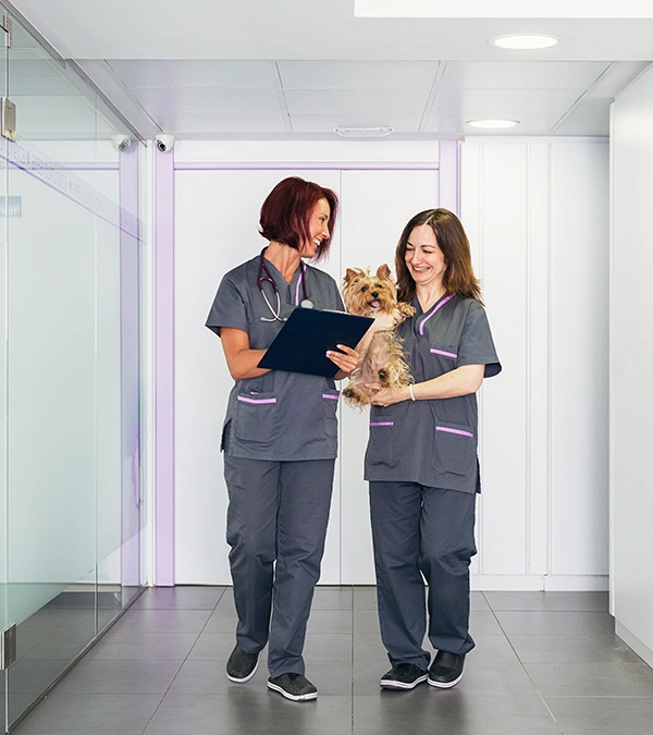 two smiling veterinarians, one holding a small dog, talk while walking down a hallway