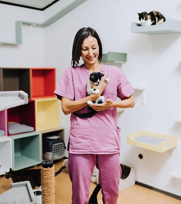 A happy vet in pink scrubs holds a kitten in a room dedicated to cat patients