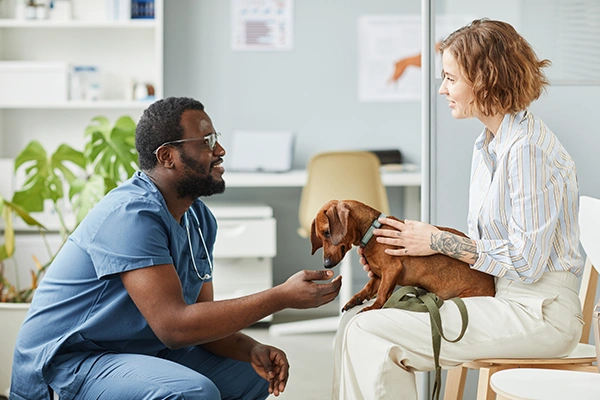 a vet kneeling down to pet a small dog while speaking to its owner in a clinic waiting room