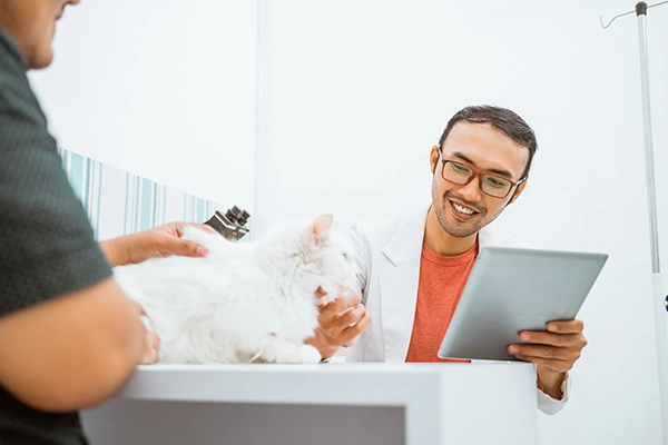 A happy vet with a tablet in his hand pets a white cat while speaking with its owner
